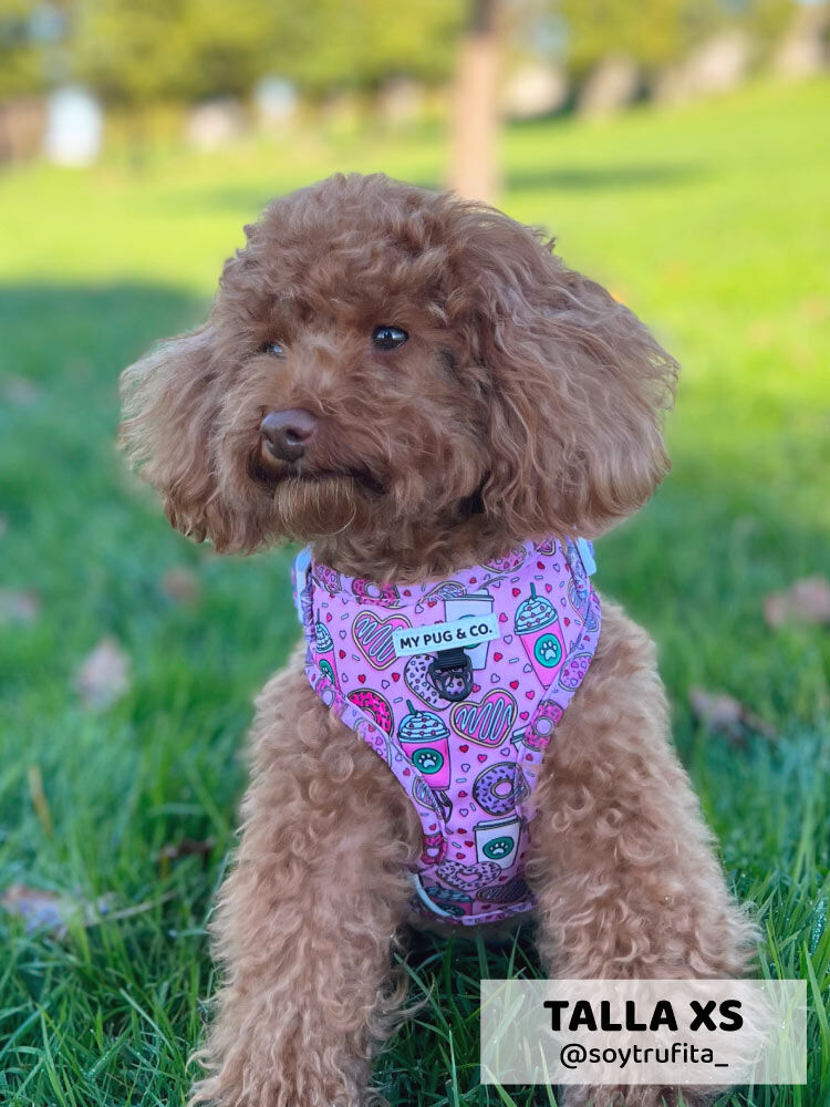 Arn&eacute;s Ajustable Dogpuccino, , large Imagen numero 2