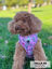 Arnés Ajustable Dogpuccino, , large indicador imagen numero 2