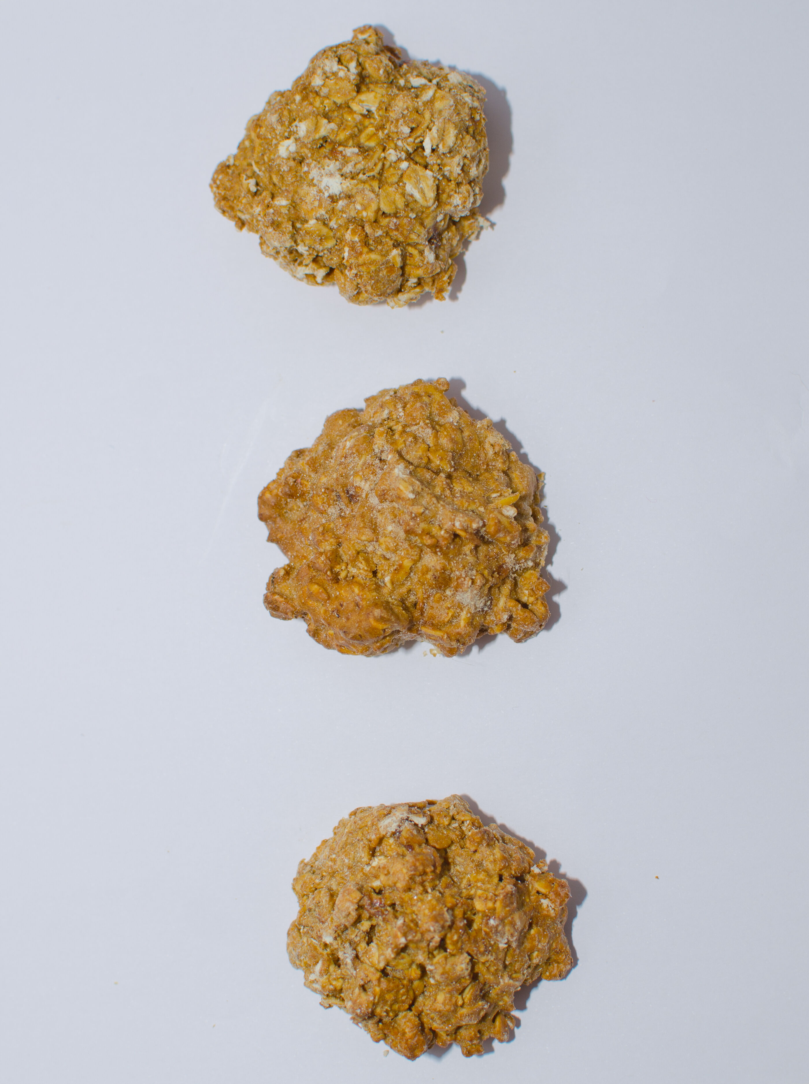 Doggy Treats Galletas Caseras de Pollo y Coco para perros