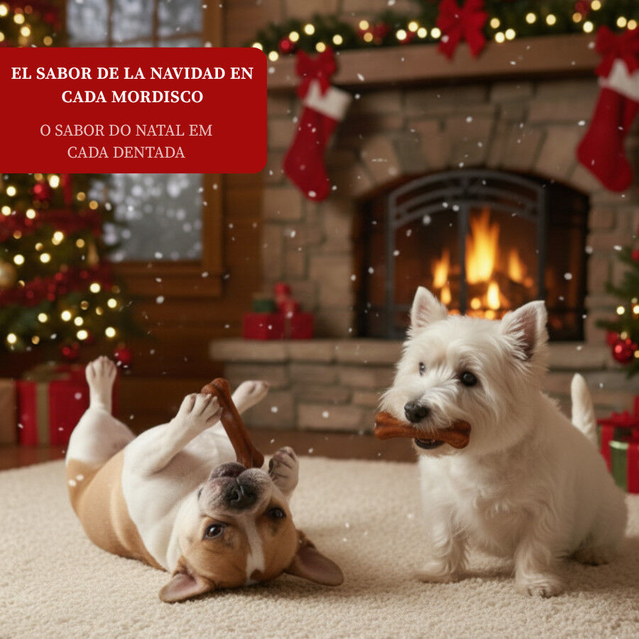 2 huesos Wonder Christmas Hueso Prensado para perros, , large Imagen numero 4