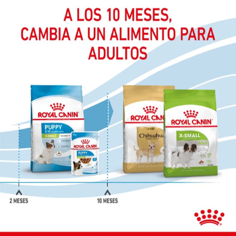 Royal Canin X-Small Puppy pienso para perros, , large image number null