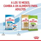 Royal Canin Puppy X-Small pienso para perros, , large image number null