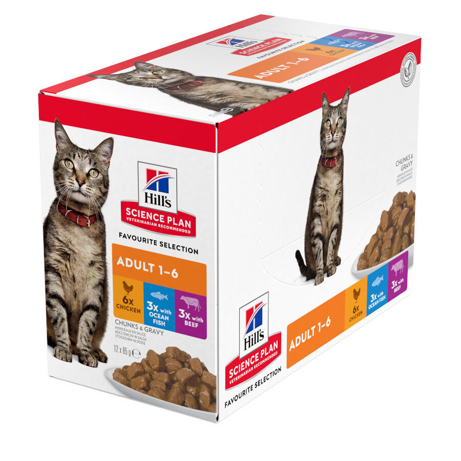 12 sobres x 85 g Hill's Science Plan Adult Pollo, Pescado Azul y Vacuno en Salsa sobre para gatos, , large Imagen numero 1