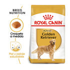Royal Canin Adult Golden Retriever pienso para perros, , large image number null
