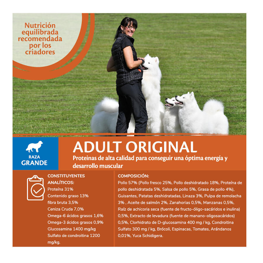 Wellness Core Adult Large Original Pollo pienso para perros thumbnail