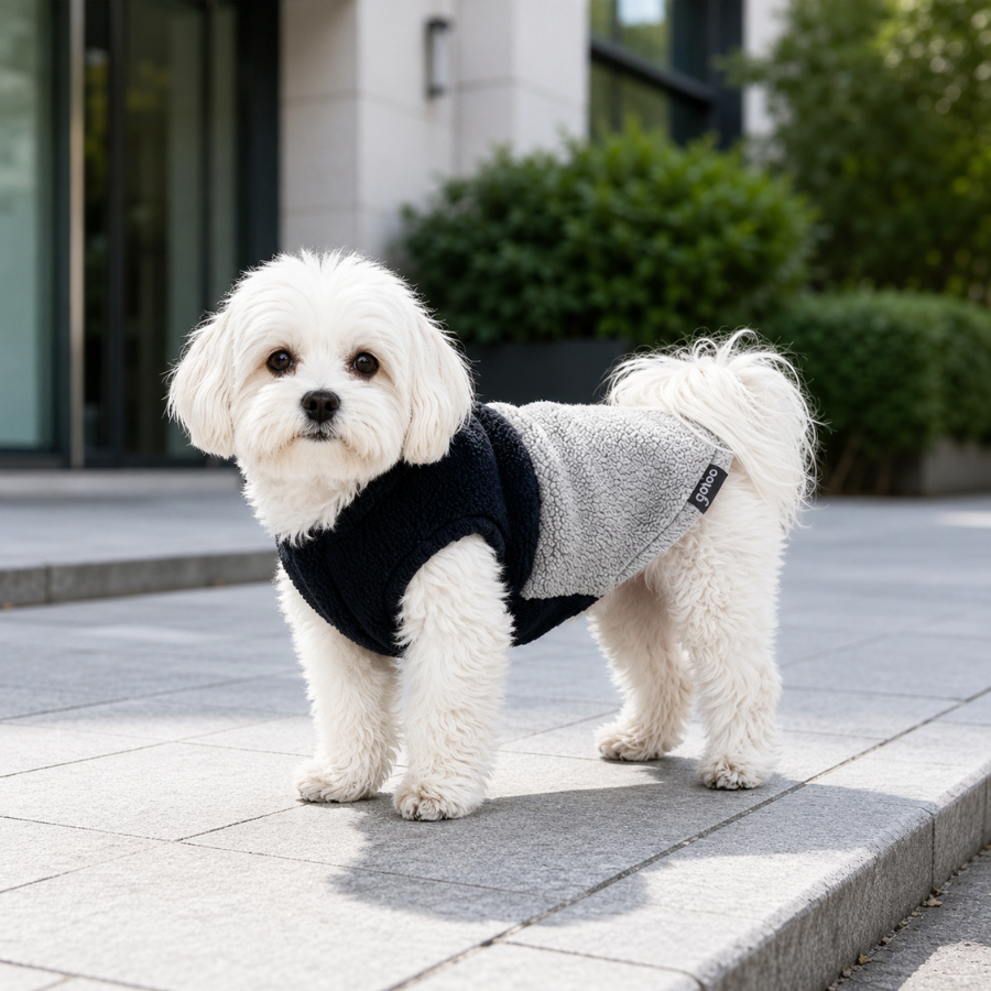 Gotoo Chaqueta Azul y Gris para perros, , large Imagen numero 1