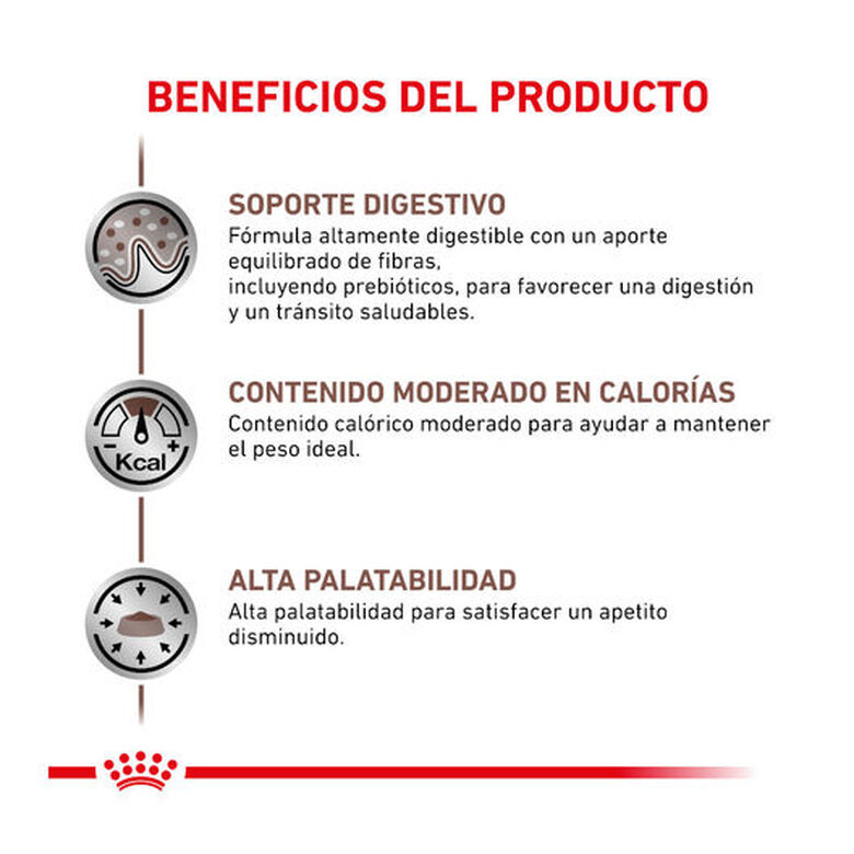 Royal Canin Veterinary Gastrointestinal Moderate Calorie sobre para gatos thumbnail