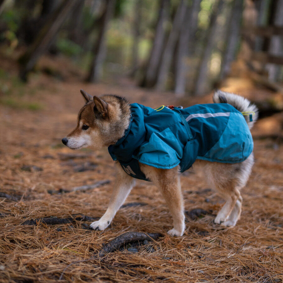 Non-stop Dogwear Chaqueta Azul y Verde para perros, , large Imagen numero 3