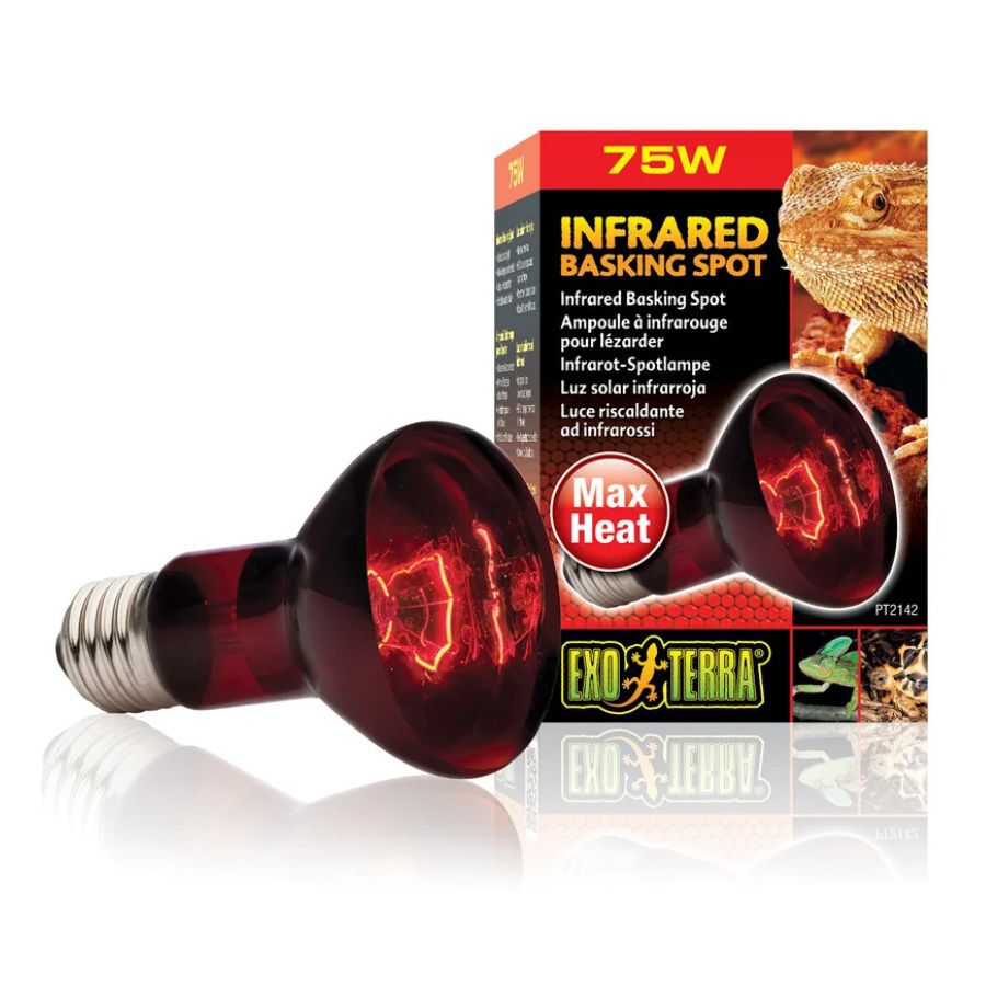 Exoterra Luz Solar infrarroja para terrarios, , large Imagen numero 1