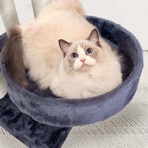 Cstore garfield &aacute;rbol con 5 postes de sisal negro para gatos, , large Imagen numero 5