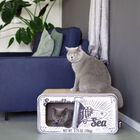 Rascador/Cueva District70 Sardine para gatos color Blanco, , large image number null