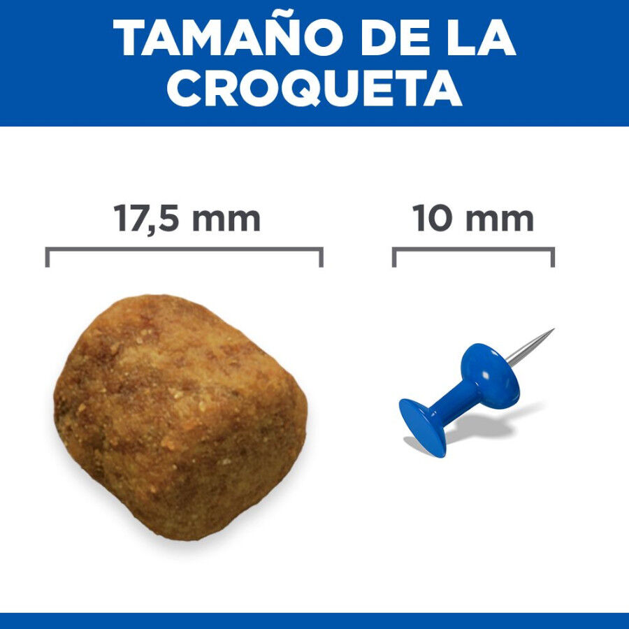 Hill&#039;s Science Plan Youthful vitality Large pienso para perros thumbnail