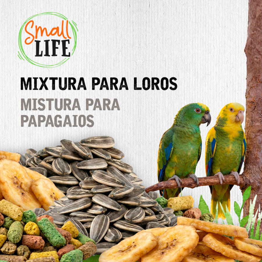 2.8 kg Small Life Mixtura Cubos para loros, , large Imagen numero 3