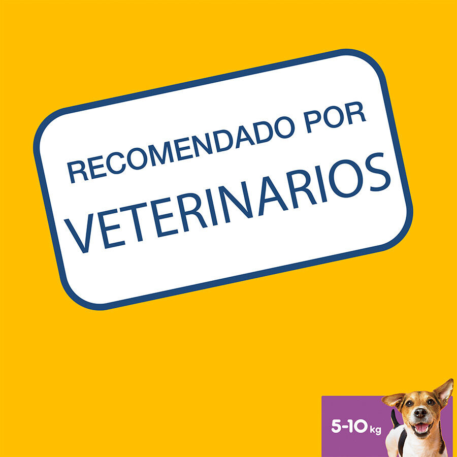 Pedigree Dentastix Snacks Dentales para perros pequeños thumbnail