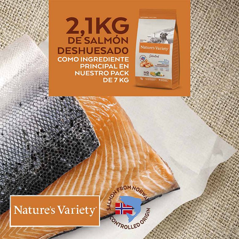 Celo Previamente Receptor Nature's Variety Adult Mini Selected Salmón pienso para perros | Tiendanimal