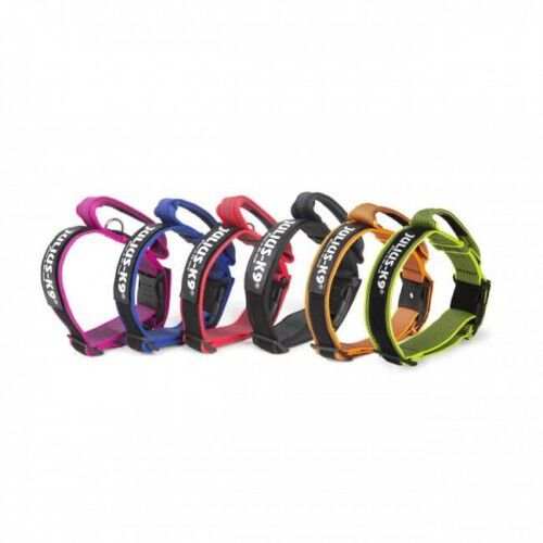 Collar con asa y doble cierre Julius K9 color Ne&oacute;n, , large Imagen numero 2