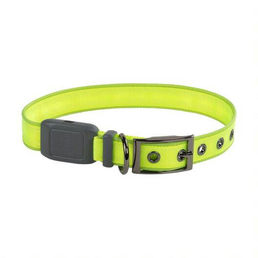 Nite NiteDog Collar Verde para perros