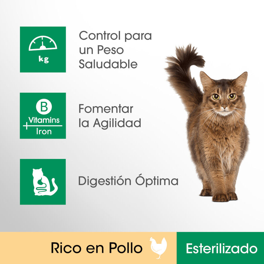 Perfect Fit Adult 1+ Esterilizado Pollo pienso para gatos thumbnail