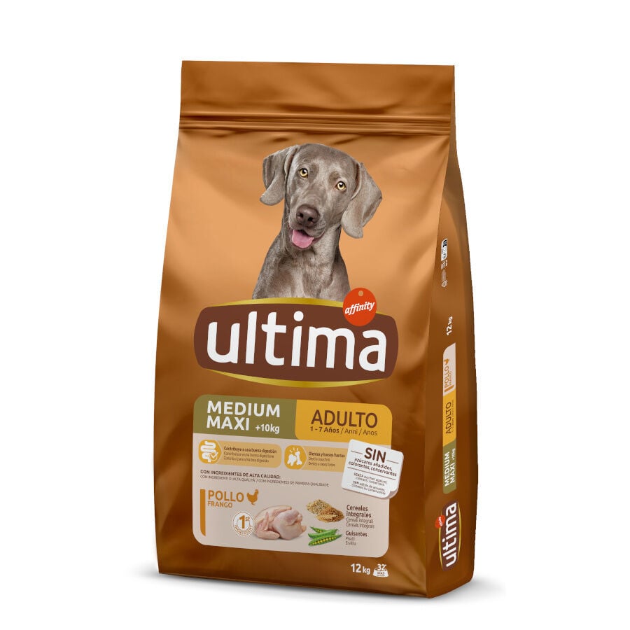 Affinity Ultima Adult Medium/Maxi Pollo pienso para perros
