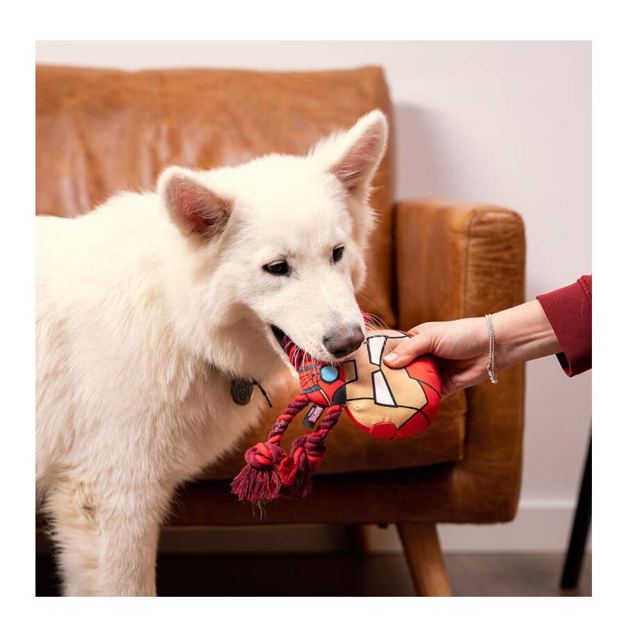 Disney Marvel Iron Man de Peluche con Cuerda para perros, , large Imagen numero 2