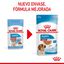 140 g Royal Canin Medium Puppy Sobres, , large indicador imagen numero 3