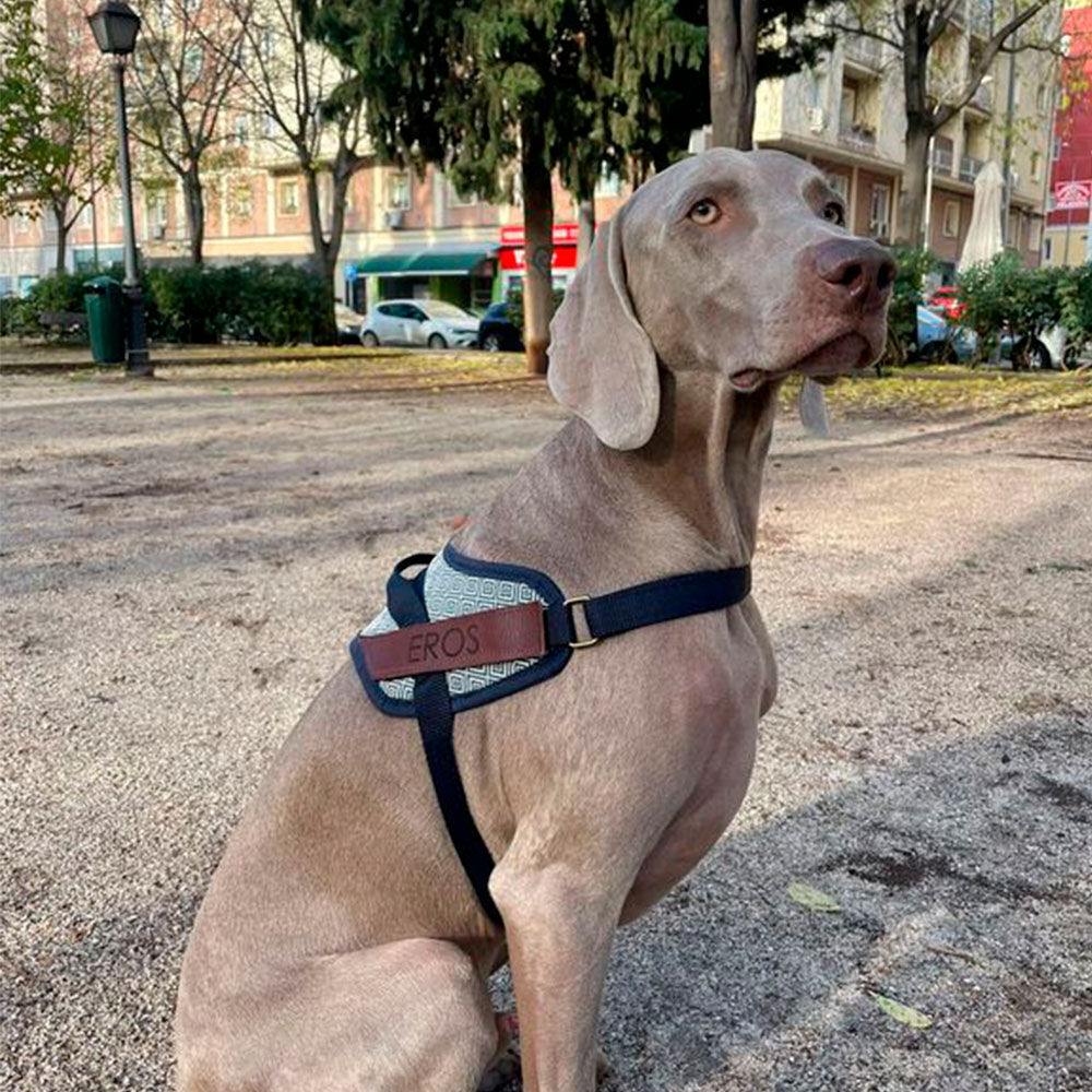 ARN&Eacute;S SEGURIDAD DALTON - S, , large Imagen numero 5