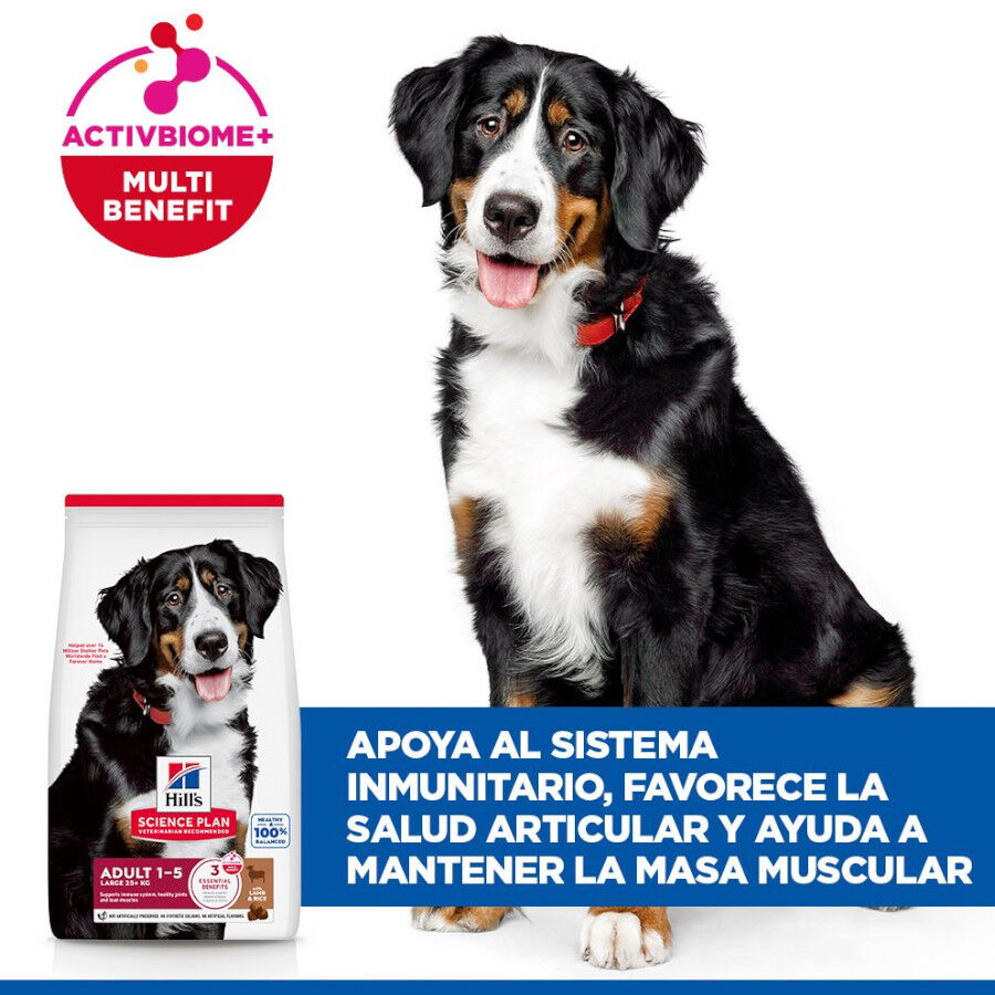 2 x 14 kg Hill's Science Plan Adult Large Cordero pienso para perros &iexcl;Pack ahorro!, , large Imagen numero 4