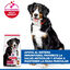 14 kg Hill's Science Plan Adult Large Cordero pienso para perros, , large indicador imagen numero 4