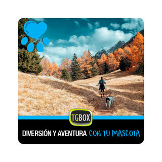Tgbox Diversión y aventura con tu mascota