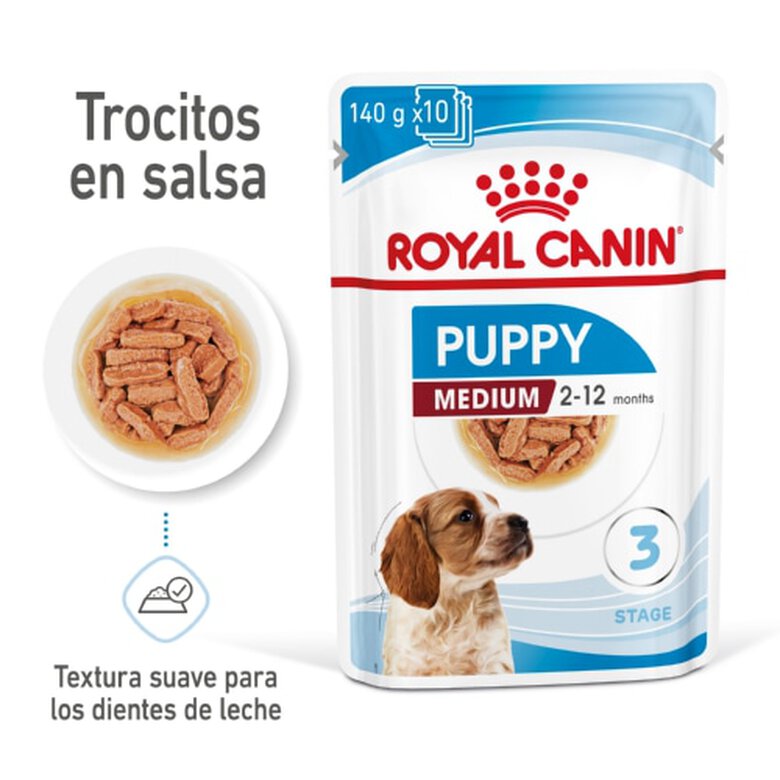 Royal Canin Medium Puppy Sobres, , large image number null