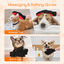 Nobleza - Guante Pelo Gato, Cepillo para Perros y Gatos Lavable y Reutilizable, Pack de 2 Guantes de Aseo para Perros y Gatos con Pulseras de Velcro Ajustables, Guantes Quita Pelos Gato, Rojo, , large indicador imagen numero 4