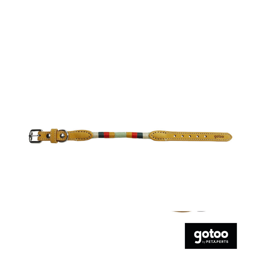 Gotoo Collar cuero verde para perros, , large Imagen numero 2