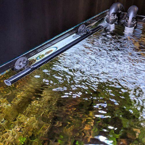 Kit tubo pulverizador 07 para peces thumbnail