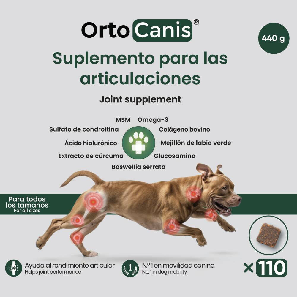 Suplemento nutricional para las articulaciones del perro, , large Imagen numero 2