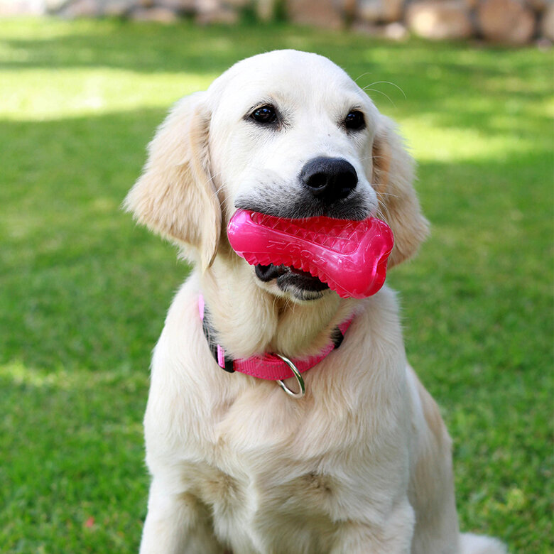 Rogz yumz hueso de juguete rosa para perros, , large image number null