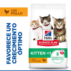 Hill's Science Plan Kitten Pollo pienso para gatos