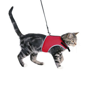 Trixie Arnés con Correa Rojo para gatos