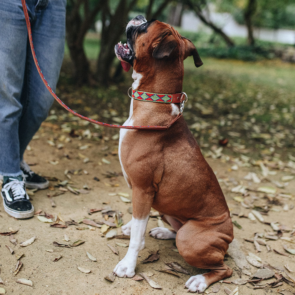 COLLAR MALAUI - XS, , large Imagen numero 5