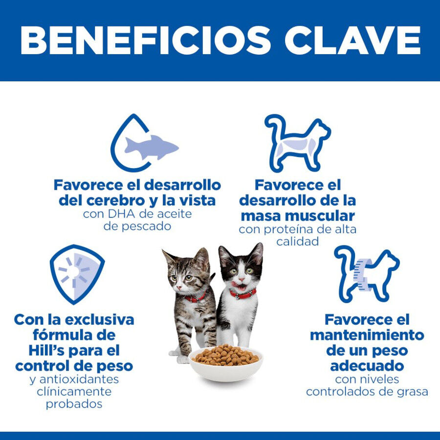 7 kg Hill's Science Plan Sterilised Kitten Pollo pienso para gatos, , large Imagen numero 5
