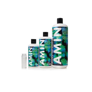 Fauna marin Fm Amin para peces