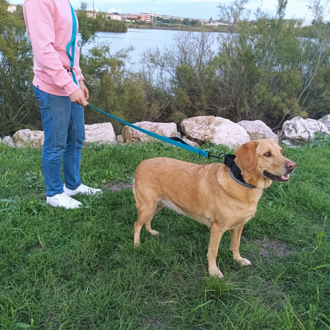 EGV - Correa multiposicion 2,50 metros de longitud. Hebillas ajustables (Verde Agua), , large Imagen numero 4