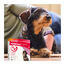 Beaphar FiproTec Pipetas para perros, , large indicador imagen numero 8