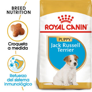 Royal Canin Puppy Jack Russell Terrier pienso para perros 