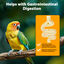 Nobleza - Comida para Periquitos, Pienso Premium para Aves, Alimento Sana y Sabrosa para Pájaros(500g), , large indicador imagen numero 5