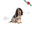10 uds. Wonder Christmas Palitos de Pescado Snacks para perros, , large indicador imagen numero 1