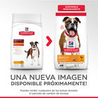 Hill's Science Plan Adult Medium Pollo pienso para perros, , large image number null