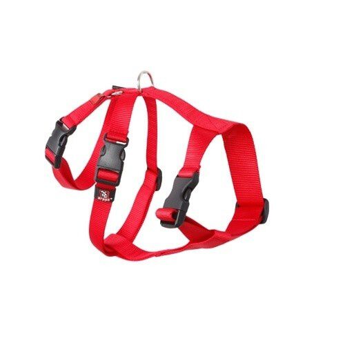 Arppe arn&eacute;s de nylon triple rojo especial para galgos y podencos, , large Imagen numero 1