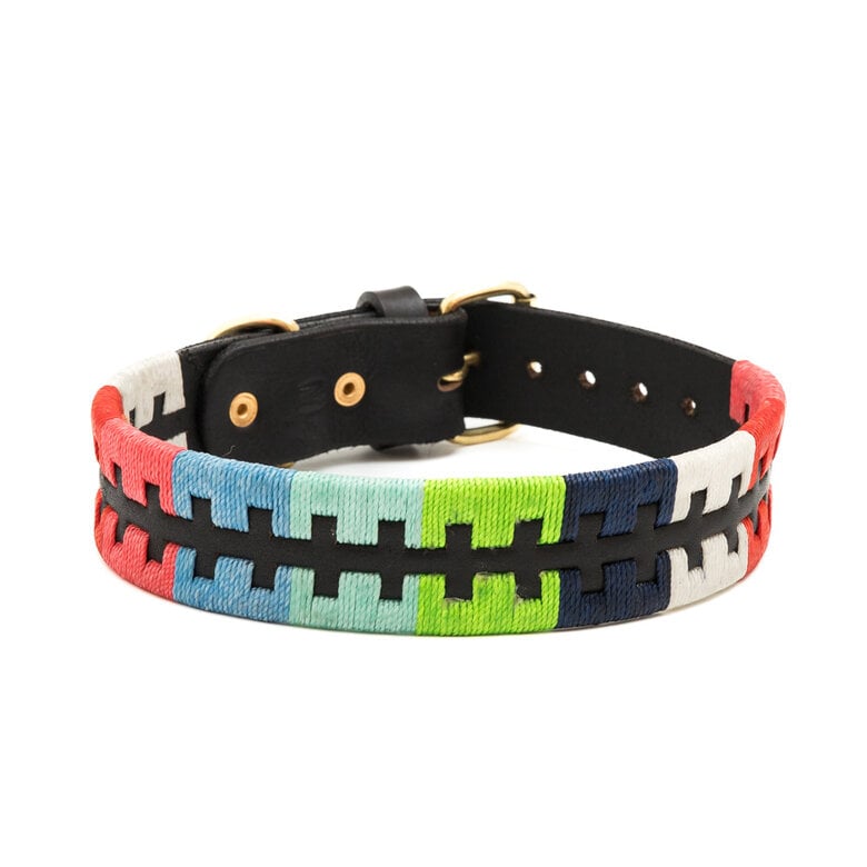 Ladran Gaucho Collar Multicolor para Perro