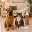 Nice Care Friegasuelos con Insecticida para perros y gatos, , large indicador imagen numero 2