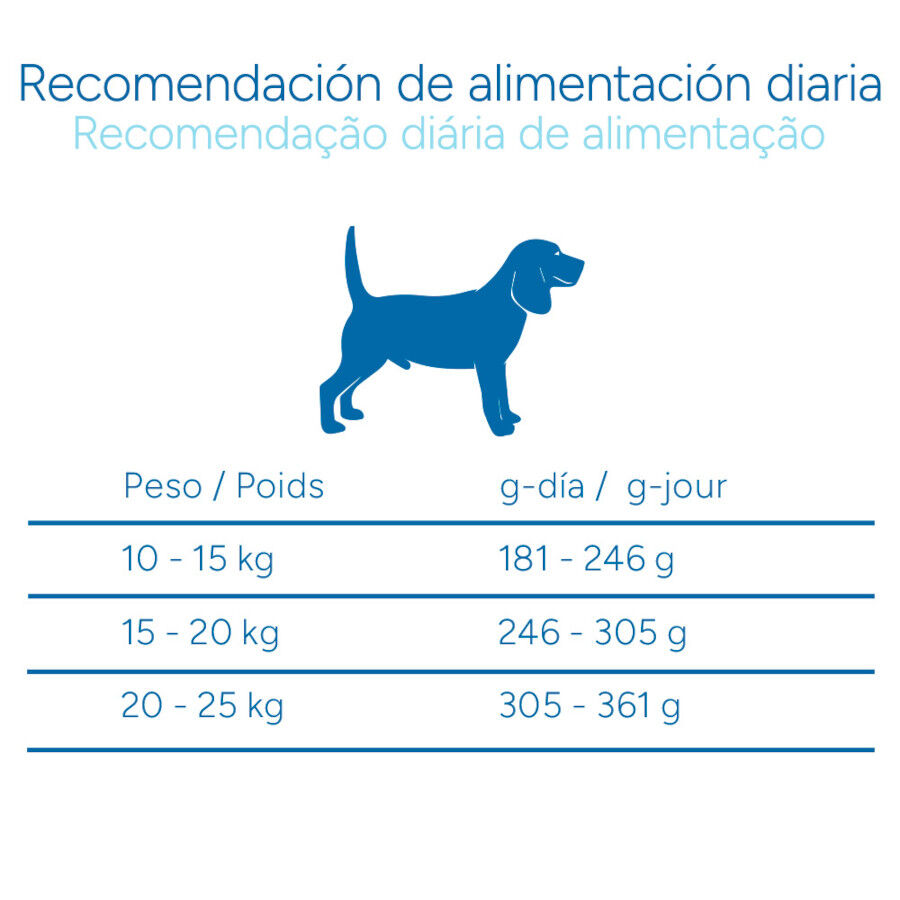 Criadores Cient&iacute;fico Adulto Medium Pienso Pollo para perros, , large Imagen numero 9